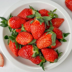 사과 배 레드향 선물세트